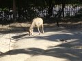 IMGP1158.JPG